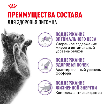 Сухой корм Royal Canin Sterilised 7+ для стерилизованных кошек в возрасте от 7 до 12 лет, 3,5 кг